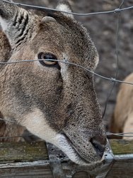 IMG_20250120_160703.jpg