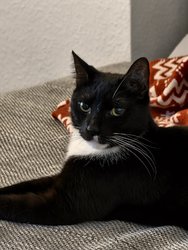 IMG_20250113_202906.jpg