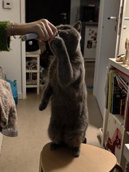IMG_20250118_030942_1.jpg
