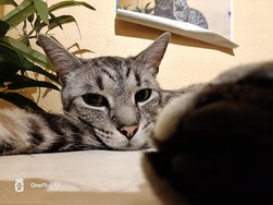 IMG20250125200842.jpg