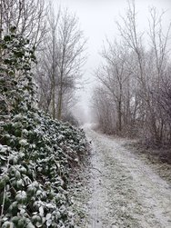 IMG_20250121_104351.jpg
