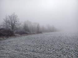 IMG_20250121_110603.jpg