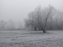 IMG_20250121_110724.jpg