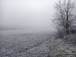 IMG_20250121_110435.jpg