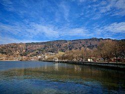 IMG_20250124_134734.jpg