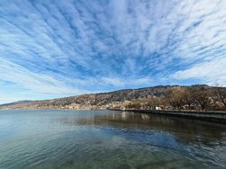 IMG_20250124_134807.jpg