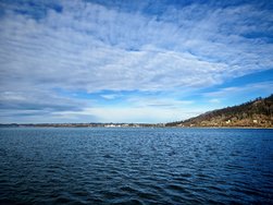 IMG_20250124_140117.jpg