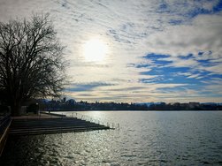 IMG_20250124_140619.jpg