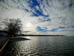 IMG_20250124_140626.jpg