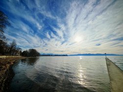 IMG_20250125_141931.jpg