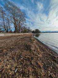IMG_20250125_142857.jpg
