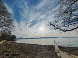 IMG_20250125_143026.jpg