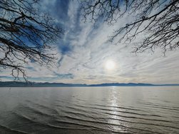 IMG_20250125_144923.jpg