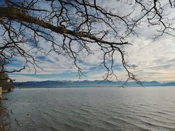 IMG_20250125_145406.jpg