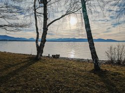 IMG_20250125_153313.jpg