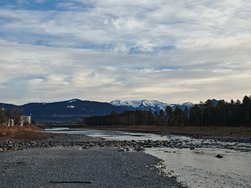IMG_20250125_160943.jpg