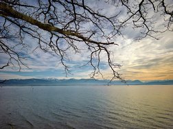PS_20250125_145509_1_hdr-topaz-sharpen-denoise_Radiant.jpg