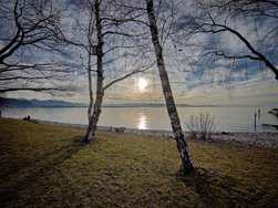 PS_20250125_153409_3_hdr-topaz-sharpen-denoise_Radiant.jpg