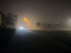 20241228_180533.jpg