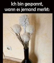FB_IMG_1737991113611.jpg
