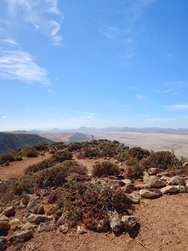 20250126_131344.JPG