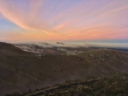 20250127_183228 (1) (1).JPG