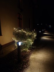 20250126_191908.JPG