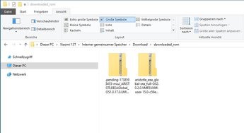 Screenshot 2025-01-28 ROM_download.jpg