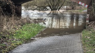 Ohne Zoom.jpg