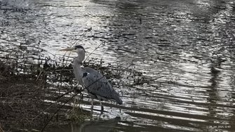 10-fach Zoom.jpg