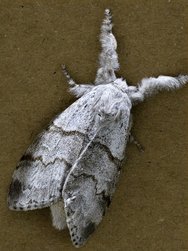 IMG_20250128_115826.jpg