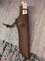 PXL_20250128_181816451.jpg