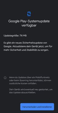 Screenshot_20250128_191349_Google Play Store.jpg