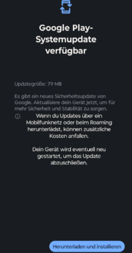 Screenshot_20250129-123005.Google Play Store_1.png