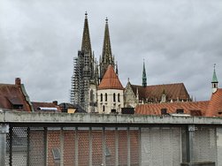 IMG20250129094032.jpg