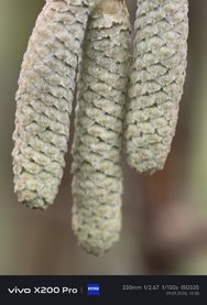IMG_20250129_123523.jpg