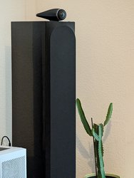 PXL_20250129_134817771.jpg