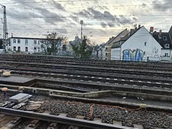 IMG_20250129_165116.jpg