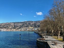 IMG_20250129_140525.jpg