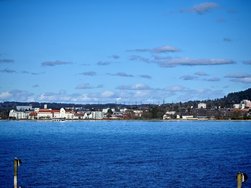 IMG_20250129_140646.jpg