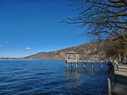 IMG_20250129_141128.jpg