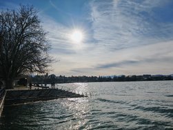 IMG_20250129_141925.jpg