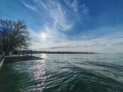 IMG_20250129_141959.jpg