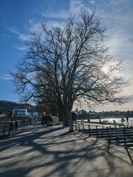 IMG_20250129_142236.jpg