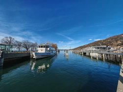 IMG_20250129_142756.jpg