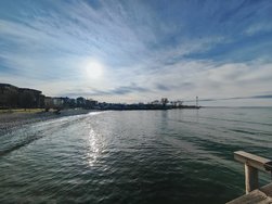 IMG_20250129_143348.jpg