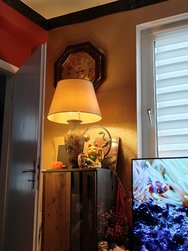 IMG20250130120157.jpg