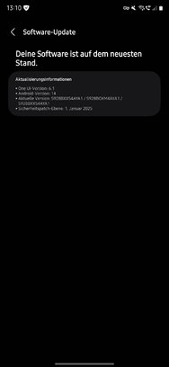 Screenshot_20250130_131019_Software update.jpg