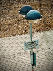 IMG20250130112628-EDIT.jpg