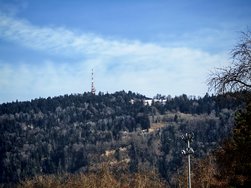 IMG_20250130_135758.jpg